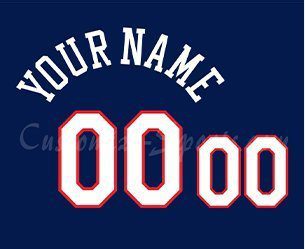 Toledo Walleye Customized Number Kit for 2009-Present Away Blue Jersey –  Customize Sports