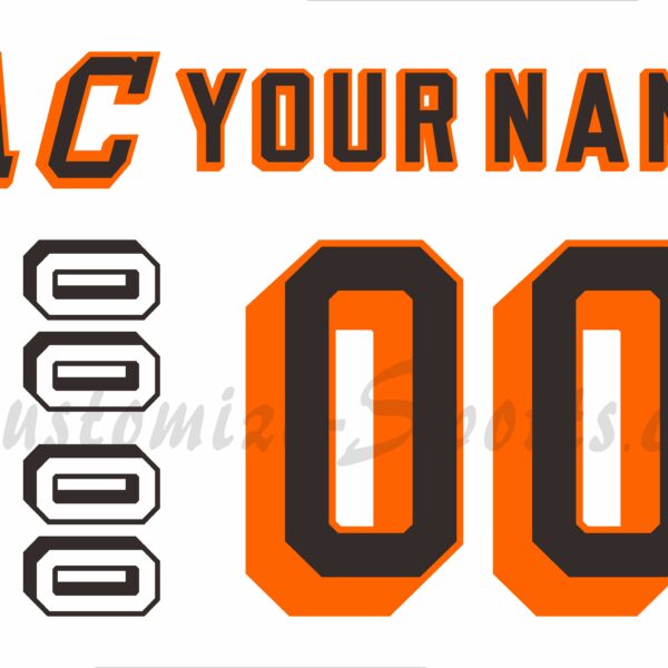 Chicago Blackhawks Customized Number Kit For 2021 Jersey – Customize Sports