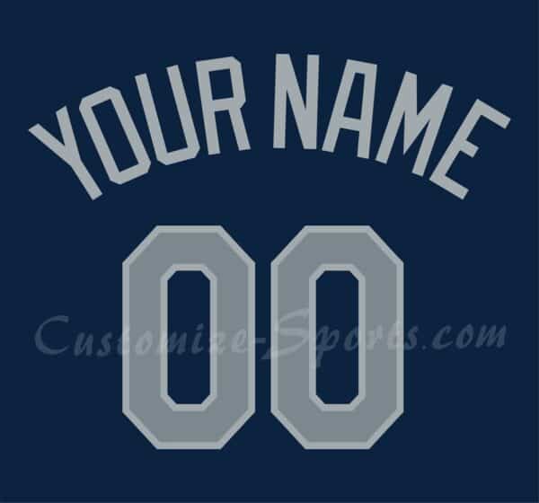 Baseball All Star Customized Number Kit for 2019 National League Jersey