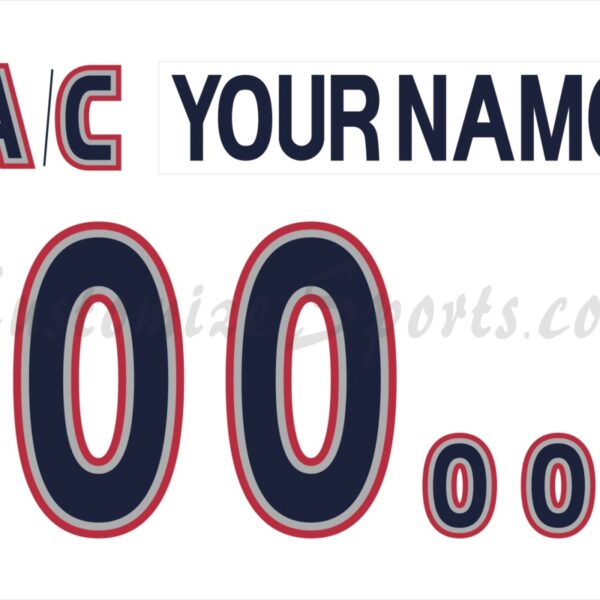 ANY NAME AND NUMBER CAROLINA HURRICANES 2023 STADIUM SERIES AUTHENTIC –  Hockey Authentic