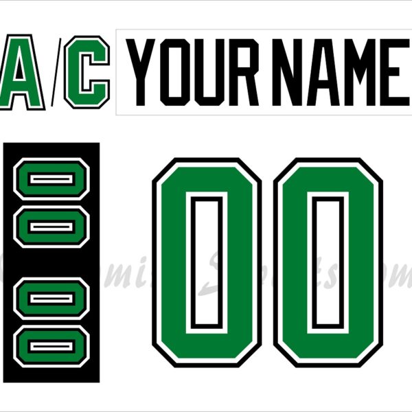 Dallas Stars Customized Number Kit For 2021 Reverse Retro Jersey –  Customize Sports