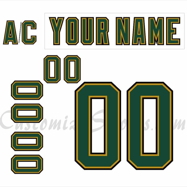 Dallas Stars Customized Number Kit For 2007-2013 Home Jersey