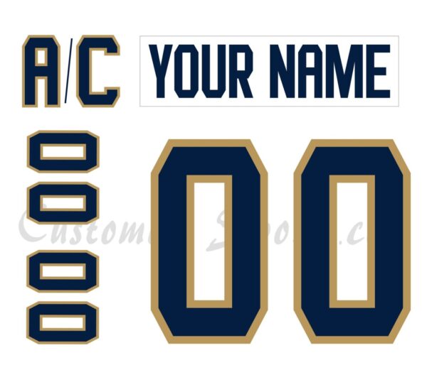 Florida Panthers Customized Number Kit For 2016-2017 Away Jersey