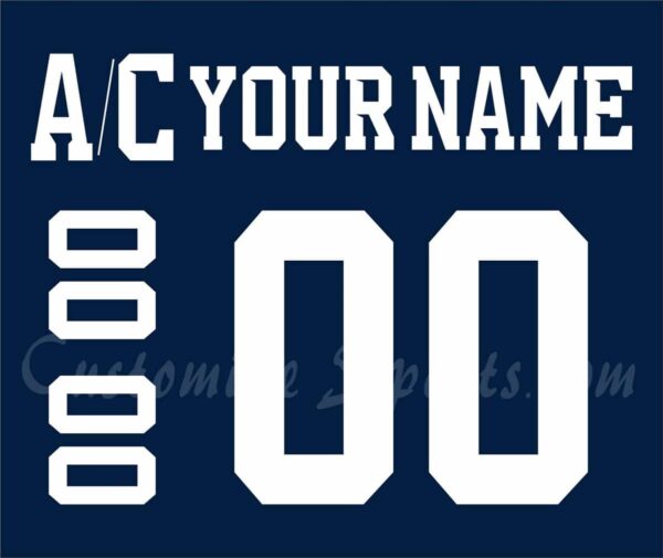 Florida Panthers Customized Number Kit For 2009-2012 3rd Jersey