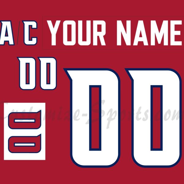 All Star Customized Number Kit for 2009 Eastern Conference Jersey