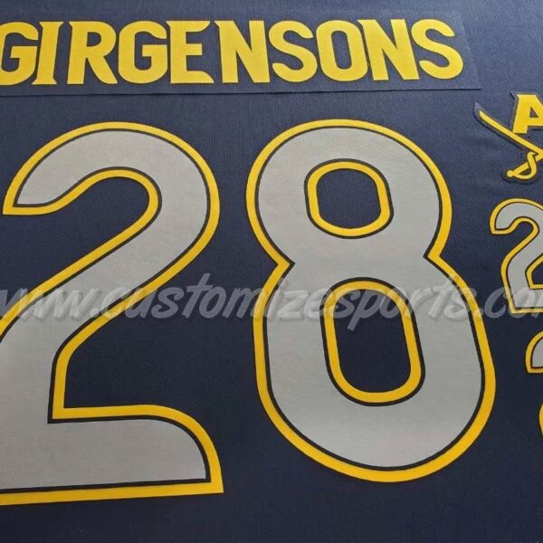 Buffalo Sabres Customized Number Kit for 2013-2015 3rd Jersey - Image 8