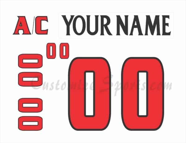 Binghamton Senators Customized Number Kit for 2008-2017 White Home Jersey