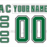 Anaheim Ducks Customized Number Kit for 2021 Reverse Retro Jersey –  Customize Sports