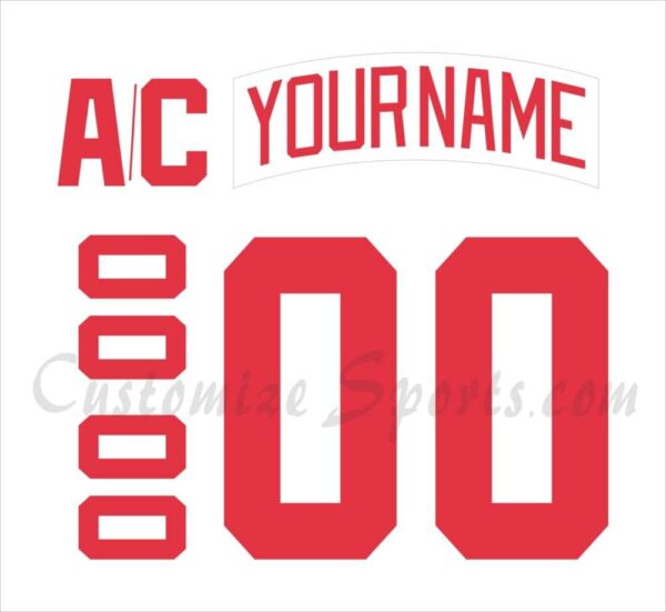 red wings retro jersey 2020