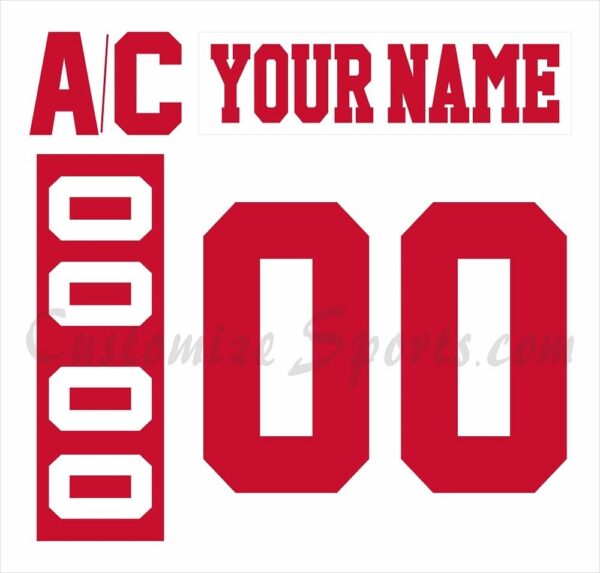 Detroit Red Wings Customized Number Kit For 2010-2011 Preseason White Jersey