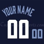 NHL MLB Chicago Cubs Hockey Jersey.Customizable.Any size,name,& number you  want