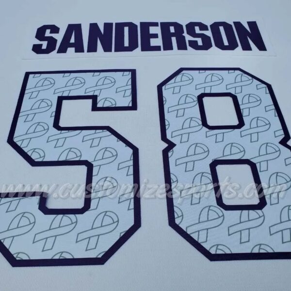 Ottawa Senators Customized Number Kit For 2022 HFC Jersey - Image 7