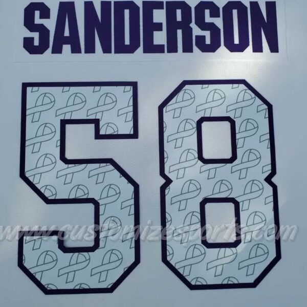 Ottawa Senators Customized Number Kit For 2022 HFC Jersey - Image 4