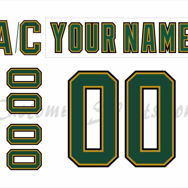 Dallas Stars Customized Number Kit For 1993-1994 Home Jersey – Customize  Sports