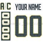 Vegas Golden Knights Customized Number Kit (glowing numbers) For 2022 Reverse  Retro Jersey – Customize Sports