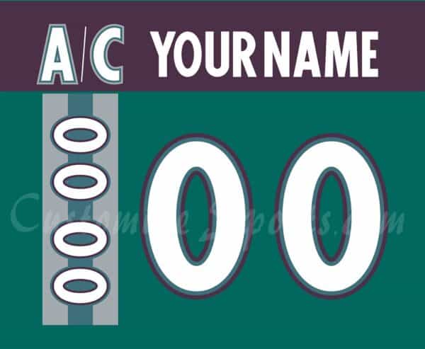 Mighty Ducks of Anaheim Customized Number Kit for 1997-1998 3rd Teal Jersey