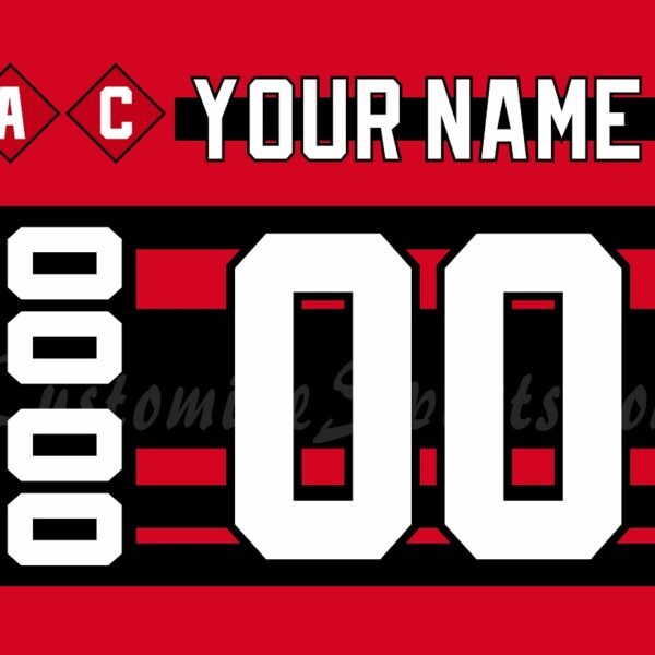 Detroit Red Wings Customized Number Kit For 2022 Reverse Retro Jersey