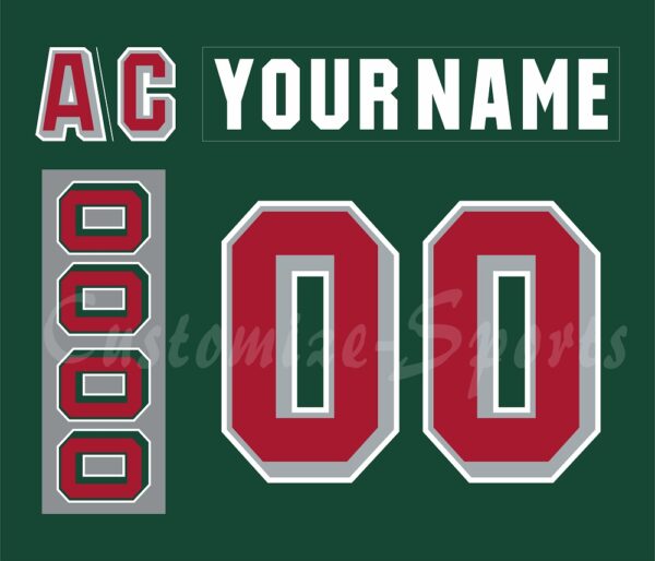 Houston Aeros Customized Number Kit for 2011-2013 Away Green Jersey