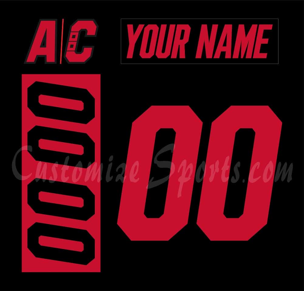 Carolina Hurricanes Customized Number Kit for 2023 Stadium Series Jersey –  Customize Sports