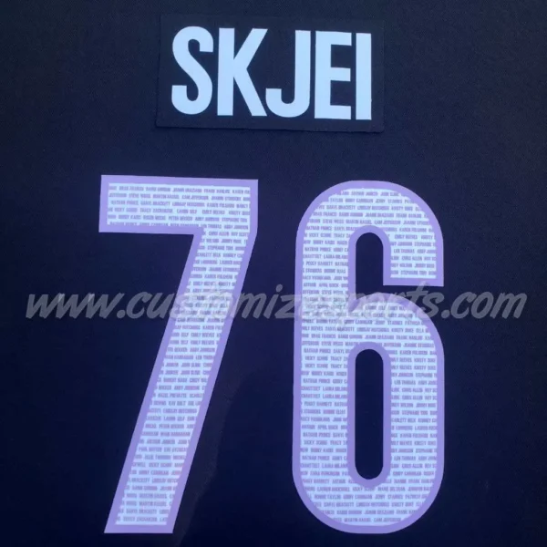 Carolina Hurricanes Customized Number Kit For 2019 HFC Jersey - Image 6