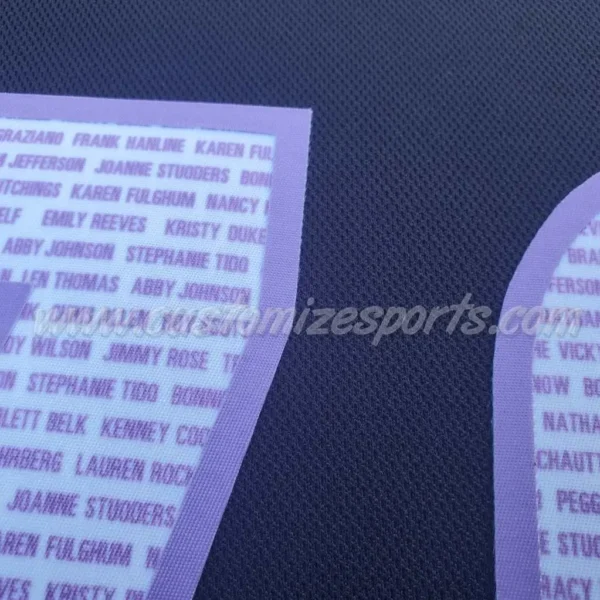 Carolina Hurricanes Customized Number Kit For 2019 HFC Jersey - Image 3