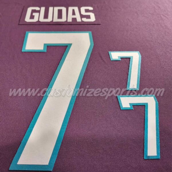 Anaheim Ducks Customized Number Kit for 2023-2024 30th Anniversary Jersey - Image 5