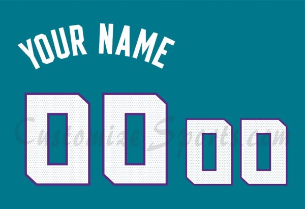 Basketball Charlotte Hornets Customized Number Kit for 2020-Present Icon Jersey