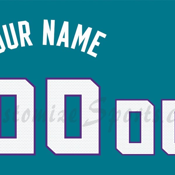 Basketball Charlotte Hornets Customized Number Kit for 2020-Present Icon Jersey
