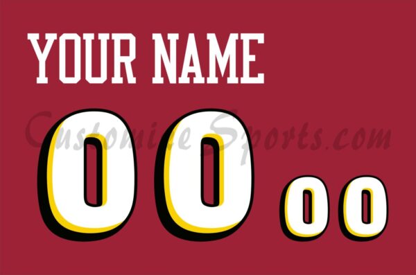 Basketball Detroit Pistons Customized Number Kit for 1999-2001 Alt Jersey