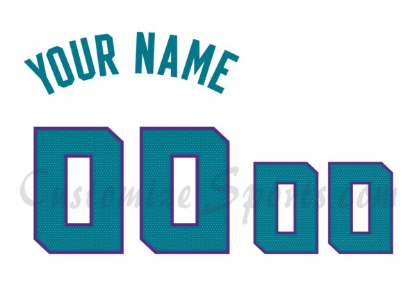 Basketball Charlotte Hornets Customized Number Kit for 2020-Present Association Jersey