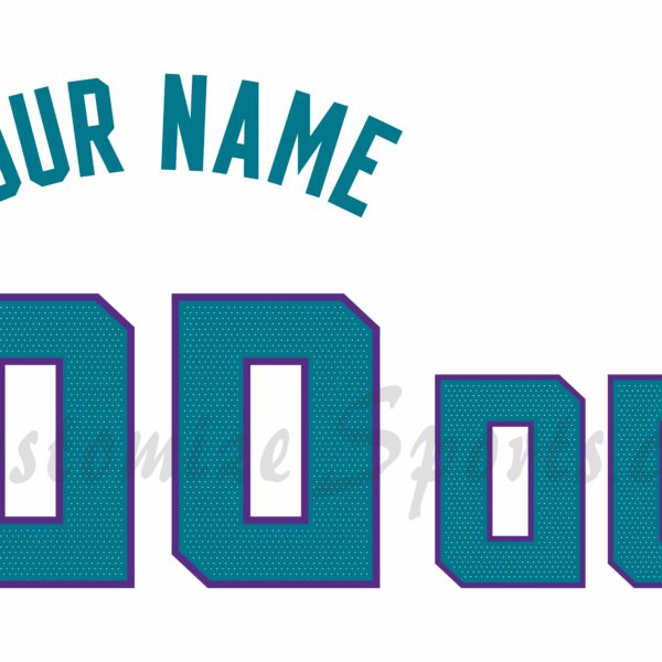 Basketball Charlotte Hornets Customized Number Kit for 2020-Present Association Jersey