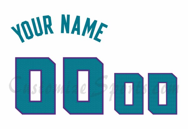 Basketball Charlotte Hornets Customized Number Kit for 2020-Present Association Jersey