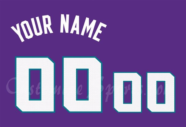 Basketball Charlotte Hornets Customized Number Kit for 2022-Present Statement Jersey