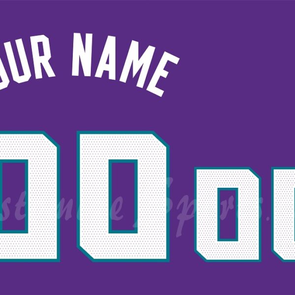 Basketball Charlotte Hornets Customized Number Kit for 2022-Present Statement Jersey
