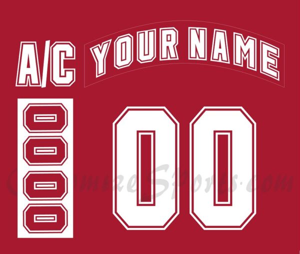 NCAA University of Wisconsin-Madison Customized Number Kit for 2004-2006 Away Hockey Jersey