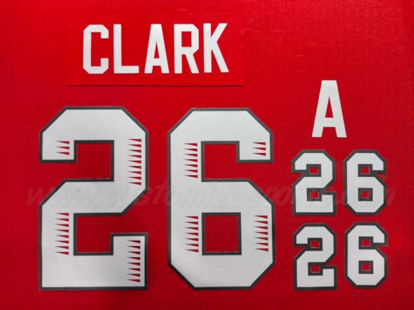 PWHL Ottawa Charge Customized Number Kit For 2024-Present Home Jersey - Image 2