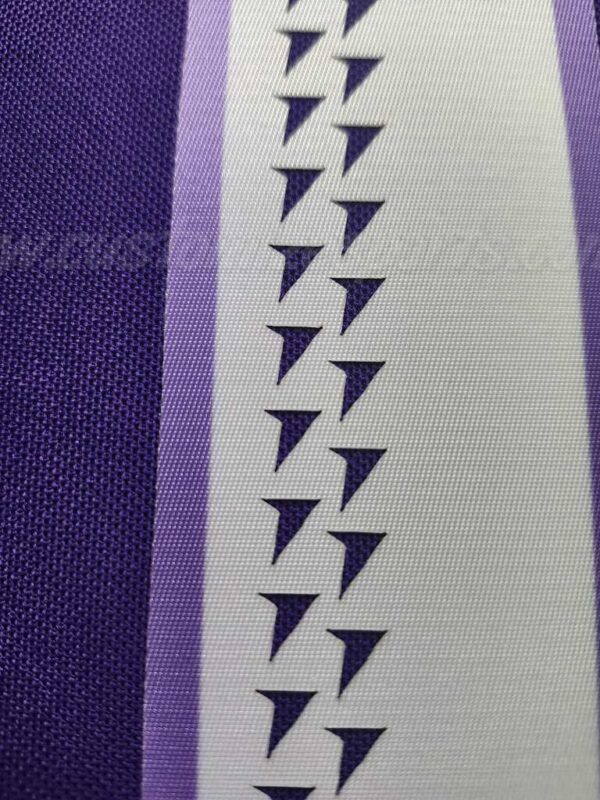 PWHL Minnesota frost Customized Number Kit For 2024-Present Home Jersey - Image 12