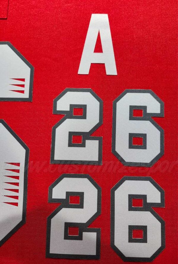PWHL Ottawa Charge Customized Number Kit For 2024-Present Home Jersey - Image 7