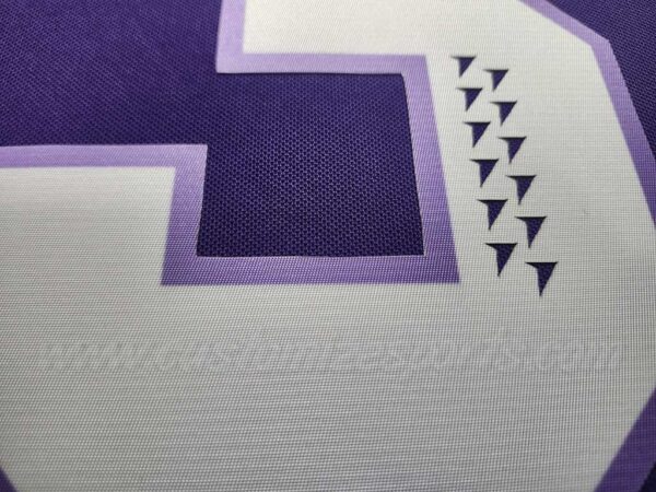 PWHL Minnesota frost Customized Number Kit For 2024-Present Home Jersey - Image 8