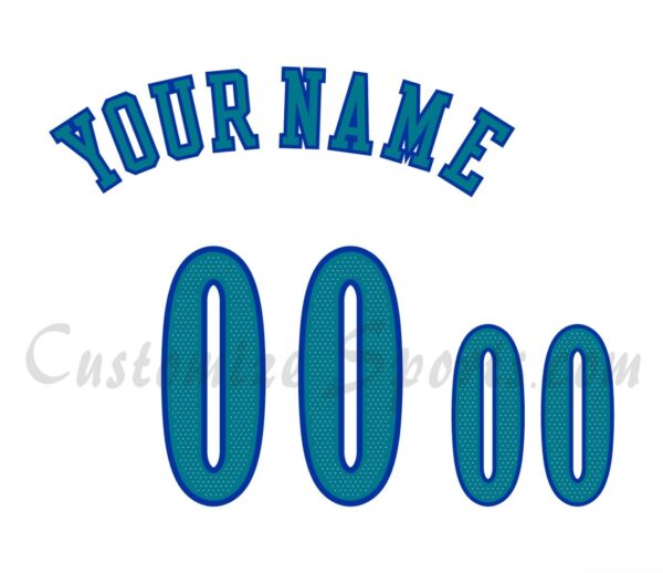 Basketball Charlotte Hornets Customized Number For Kit 2018-2019 Classic Jersey