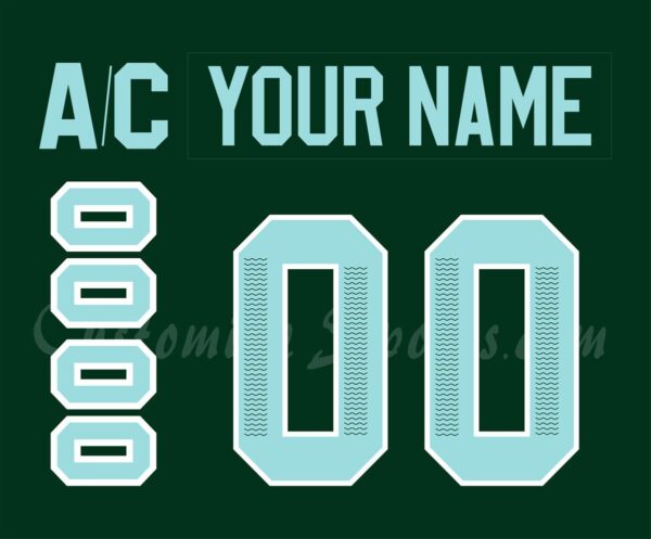 PWHL Boston Fleet Customized Number Kit For 2024-Present Home Jersey