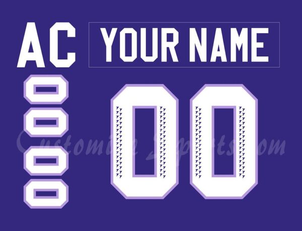 PWHL Minnesota frost Customized Number Kit For 2024-Present Home Jersey