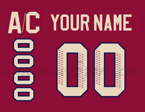 PWHL Montreal Victoire Customized Number Kit For 2024-Present Home Jersey