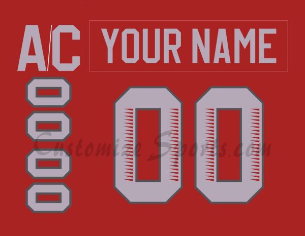 PWHL Ottawa Charge Customized Number Kit For 2024-Present Home Jersey