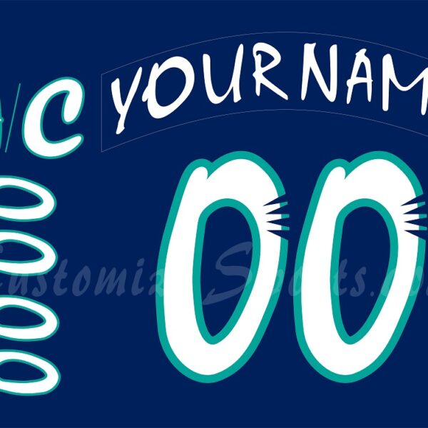 Worcester IceCats Customized Number Kit for 1995-1999 Away Jersey