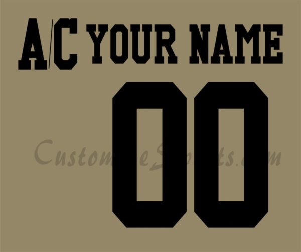 Detroit Red Wings Customized Number Kit For 2021-2022 Military Jersey
