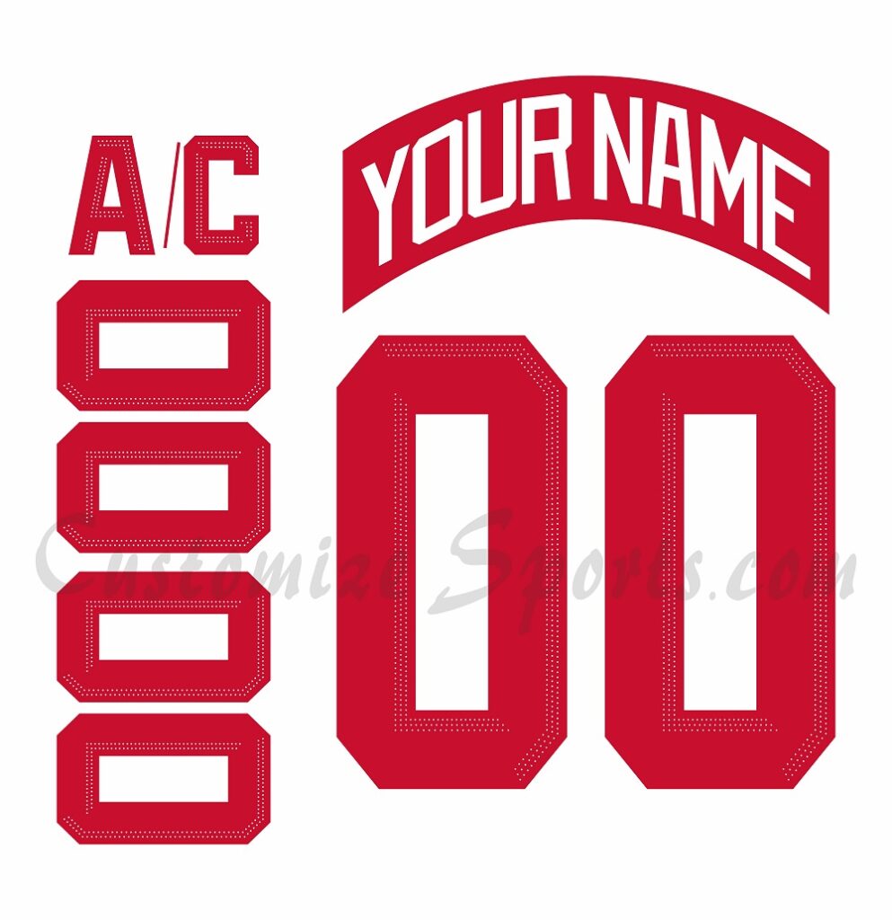 Detroit Red Wings Customized Number Kit For 2025 Stadium Series Jersey