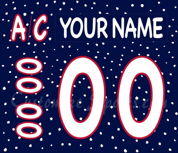South Carolina Stingrays Customized Number Kit For 75th Anniversary Jersey