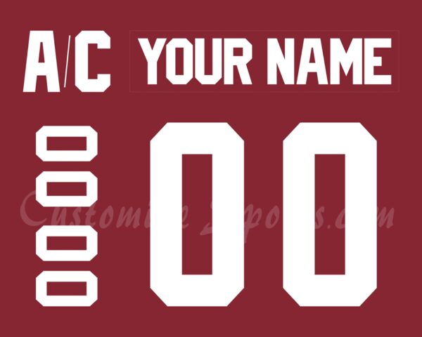 Union College Dutchmen Customized Number Kit For 1995 200th Bicentennial Jersey