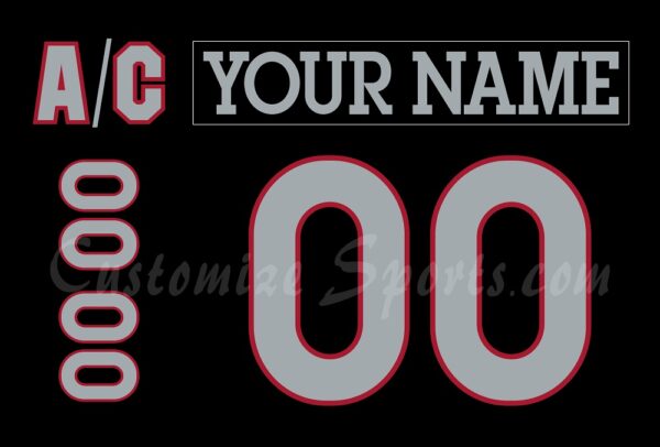 Cincinnati Cyclones Customized Number Kit for 2025 Throwback Jersey